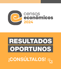 Censos económicos 2024 RESULTADOS OPORTUNOS !CONSÚLTALOS¡